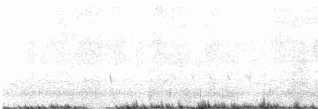 Quebracho Crested-Tinamou - ML537125061