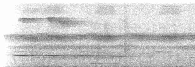 Сероголовый ширококлюв - ML537174