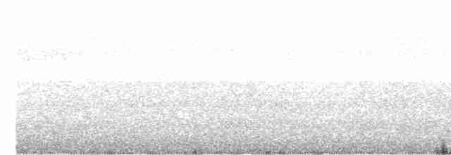 Чернобородый дятел - ML537194111