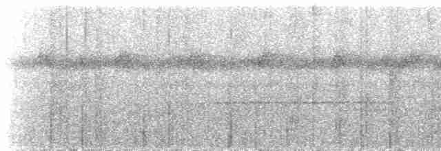 Сероголовый ширококлюв - ML537203