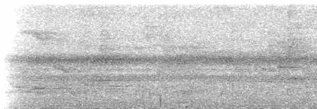 Büyük Dazlak Barbet - ML537215
