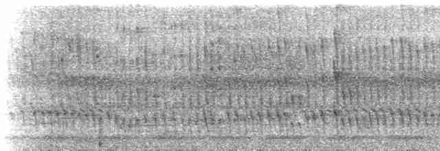Büyük Dazlak Barbet - ML537216