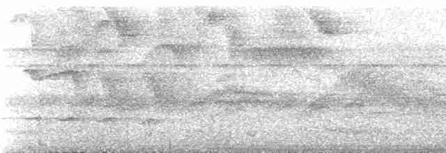 Ak Gözlü Küçük Tiran - ML537383