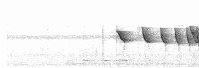 Dusky-tailed Antbird - ML537387891
