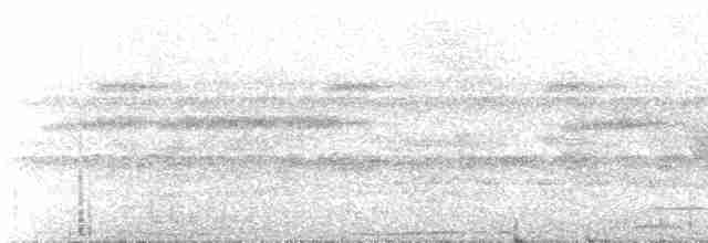 Çizgili Büyük Tiran - ML537389
