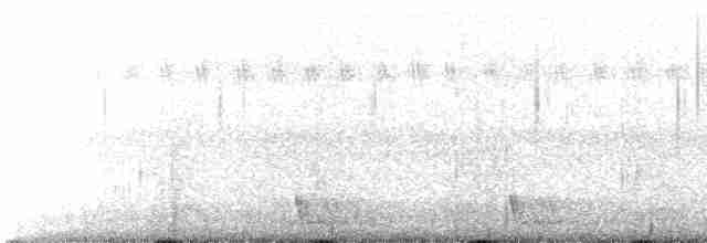 Large-tailed Nightjar - ML537389421