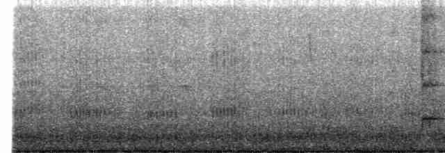 Neotropic Cormorant - ML537410091