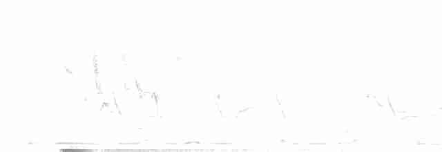 Clamorous Reed Warbler - ML537411811
