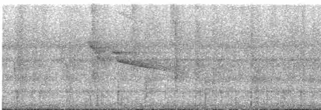 Plumbeous Kite - ML537423141