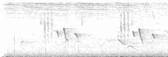 Сиреневогрудая нектарница - ML537433411