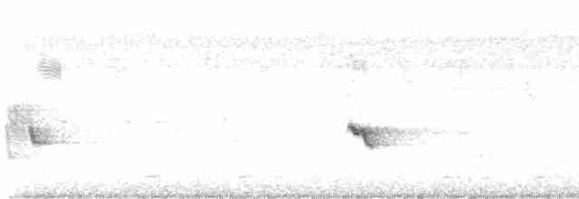 Мышиная нектарница - ML537437991