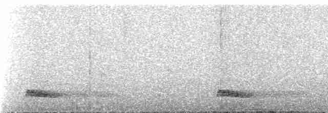 Tinamou à tête rousse - ML537452