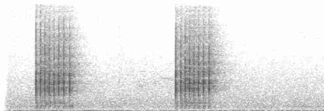 ML537457 visualization