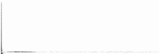 holub bělohrdlý - ML537476841