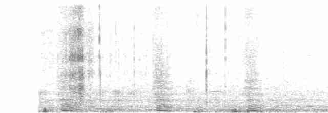 tučňák magellanský - ML537493071