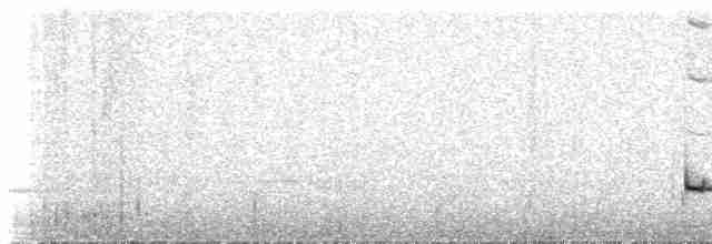 Мурашниця екваторіальна - ML537502