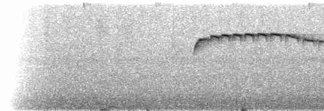 Kestane Alınlı Küçük Tiran - ML537580641