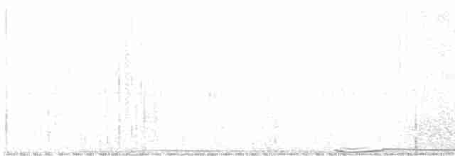 Пінон рудогрудий - ML537586031