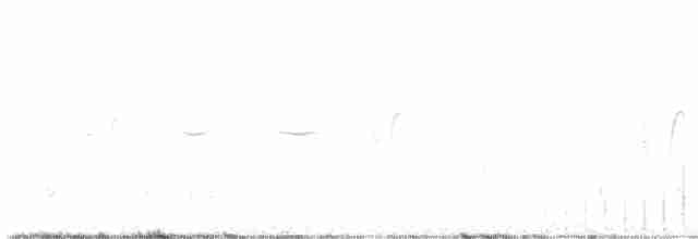 Eastern Clapper Lark - ML537619821