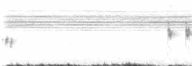 Namaqua Warbler - ML537623191