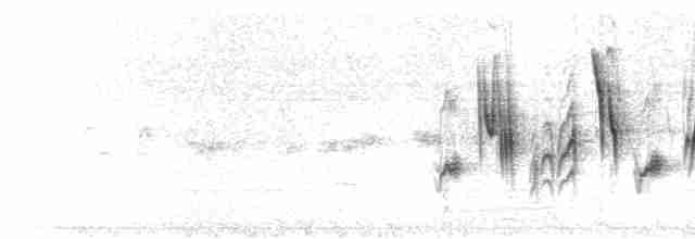  - Yellow-fronted Canary