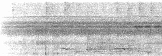 Oriole Whistler - ML537733