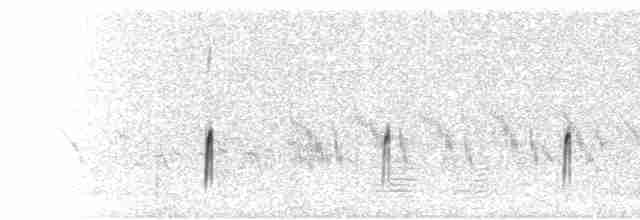  - Double-banded Plover