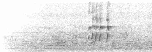  - Red-kneed Dotterel