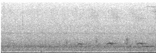 Kara Giysili Karıncakuşu - ML537876071