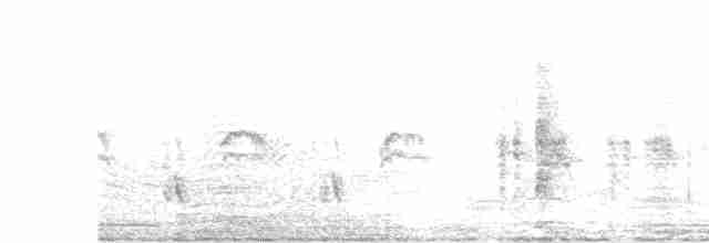Clamorous Reed Warbler - ML537900381
