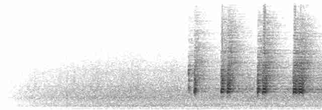  - Australasian Darter