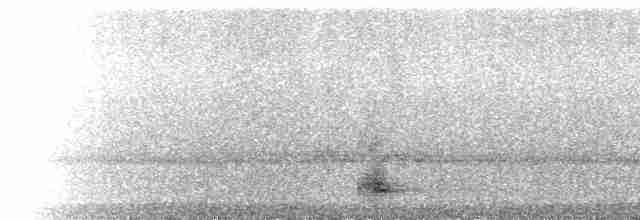  - Pacific Reef-Heron