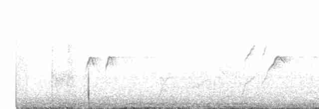 kačenka bělohřbetá - ML537940931