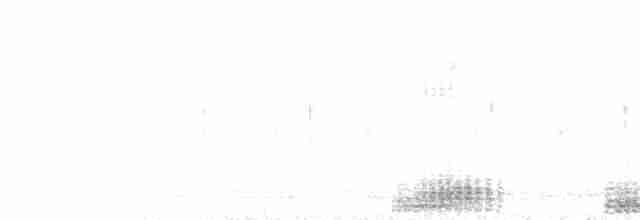  - Laughing Kookaburra