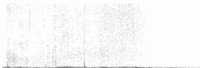 Puna Thistletail - ML538044611