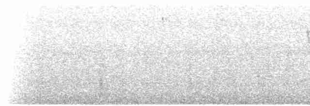 Пилоклювый колибри-отшельник - ML538084821