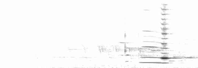  - North Island Kokako