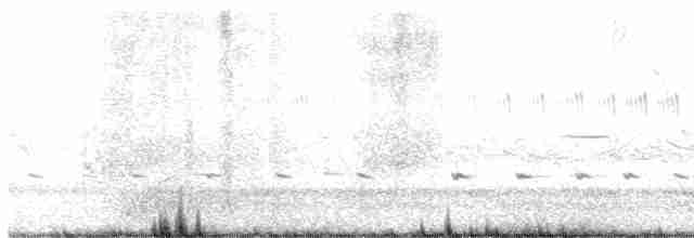 Benekli Notura Tinamusu - ML538142211