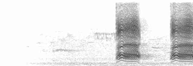  - Carrion Crow (Western)