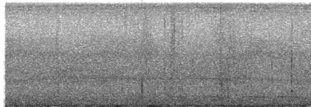Diard's Trogon - ML538203451