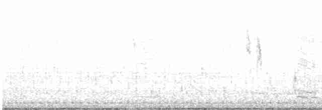 White Wagtail - ML538213781