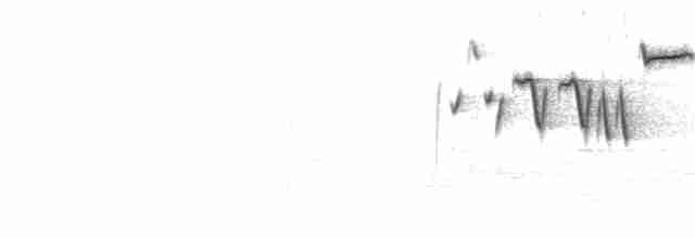  - Eurasian Wren (Eurasian)