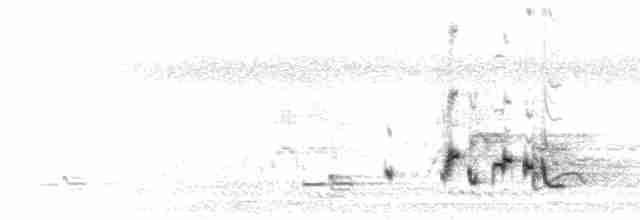  - Red-whiskered Bulbul