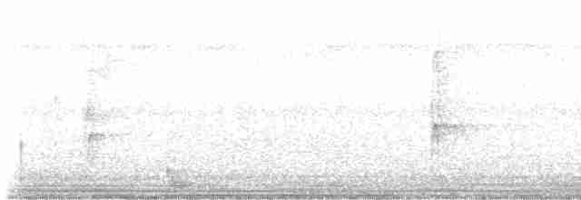 Тиранчик-мухолюб вохристий - ML538276421