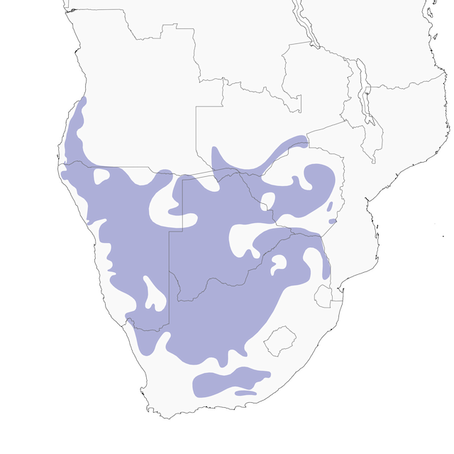 Distribution map - Scaly Weaver - 