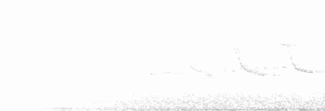 Гаїчка-пухляк звичайна [група montanus] - ML538363221