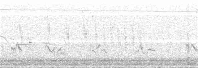 Тростниковый крапивник - ML53837431