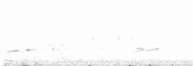 Carouge à épaulettes (californicus/mailliardorum) - ML538407371
