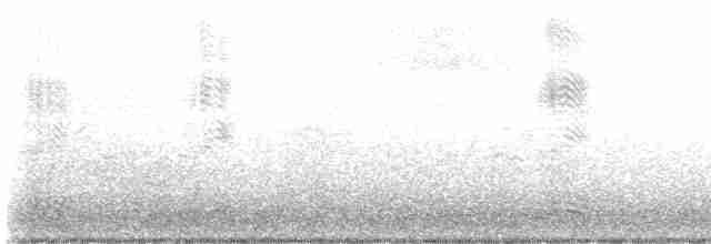 Cuervo Pescador - ML538420201