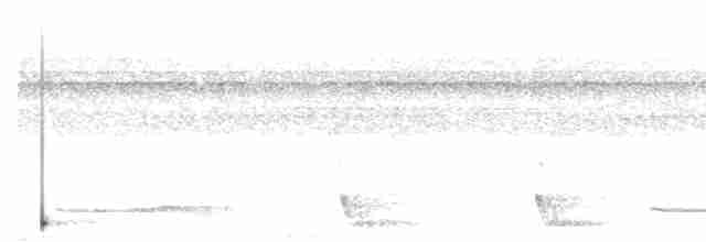 Large-tailed Nightjar - ML538472581